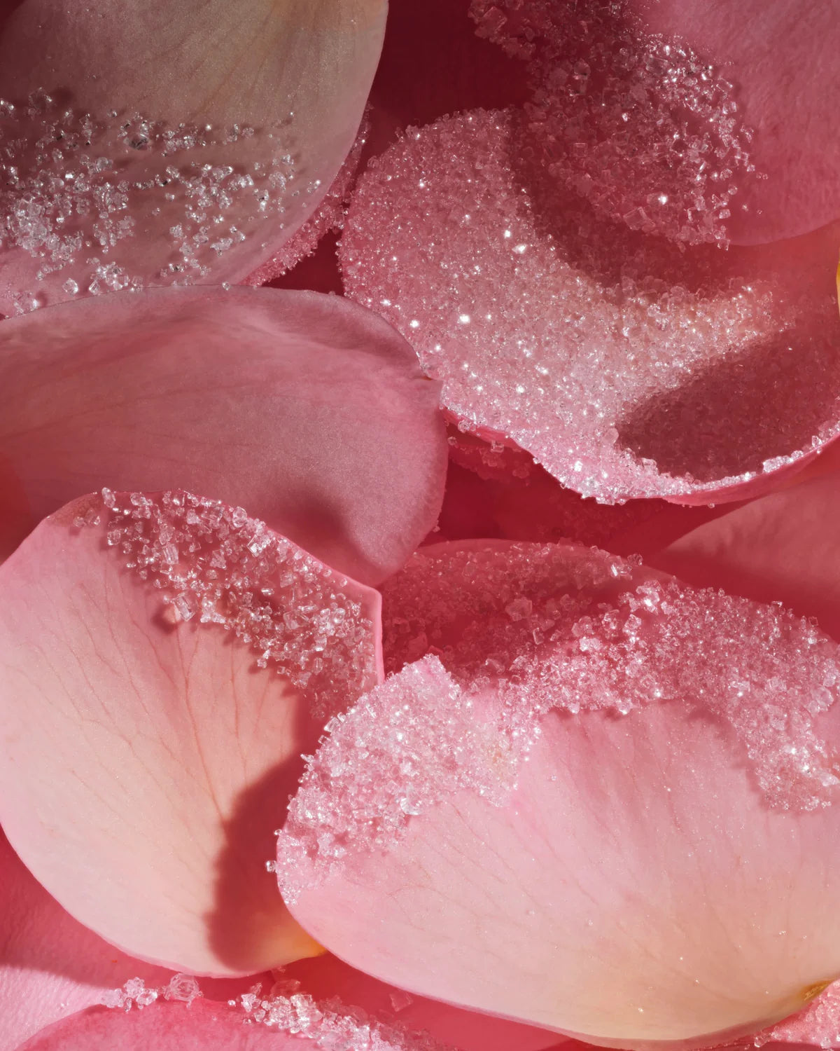 La Sultane de Saba Rose Ritual Beauty Bundle – 4-Piece Set