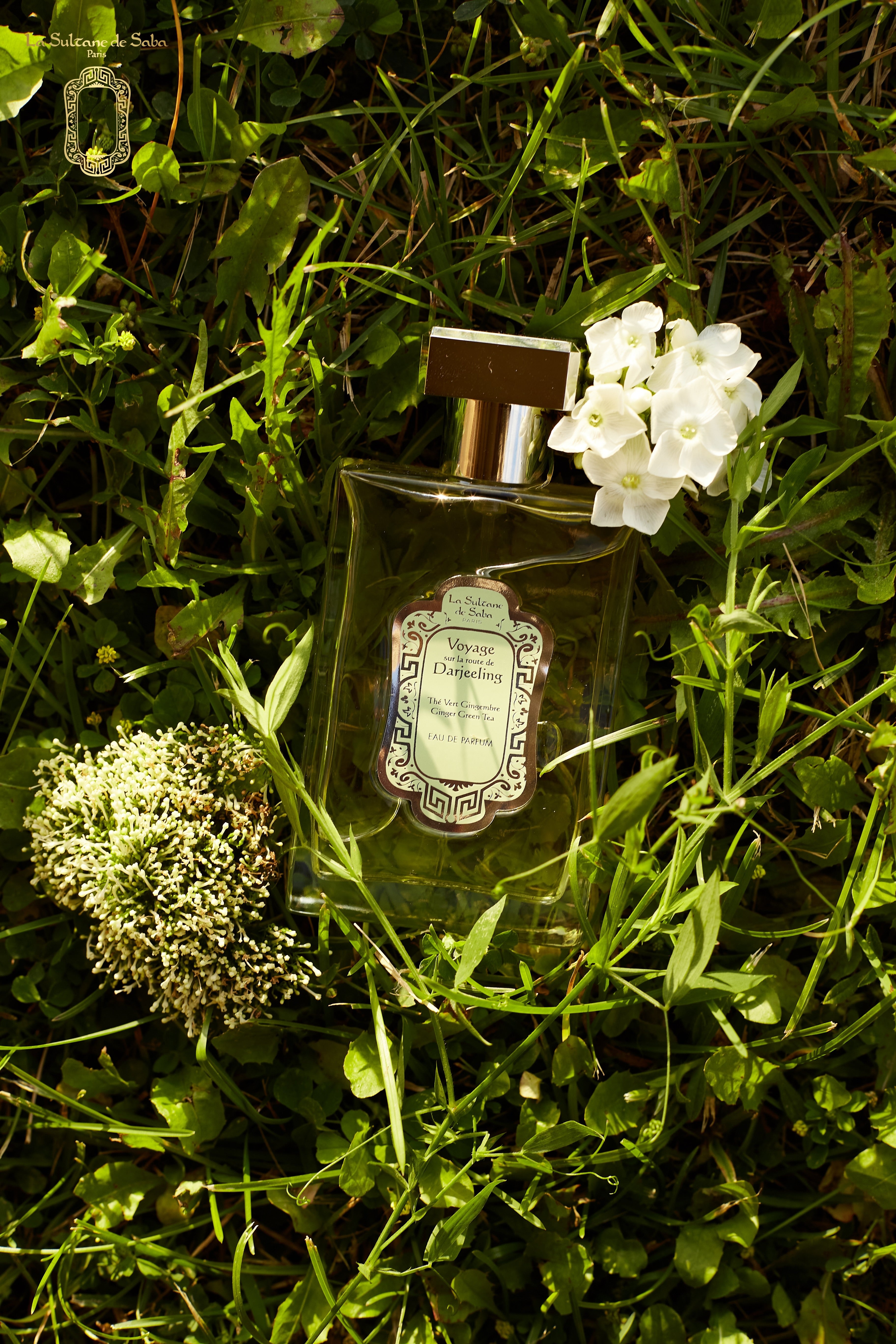 Perfume – Green Tea & Ginger – Journey to the Route of Darjeeling