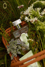 Journey To The Route of Darjeeling – Ginger Green Tea: Perfume + Body Lotion