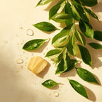 Shower Cream – Ginger Green Tea – Journey to the Route of Darjeeling