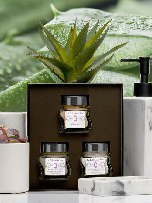 Aloe Vera Face Gift Set – Fig & Orchid