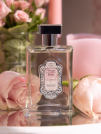 Perfume – Rose – Journey to the Valley of Roses in M’Gouna